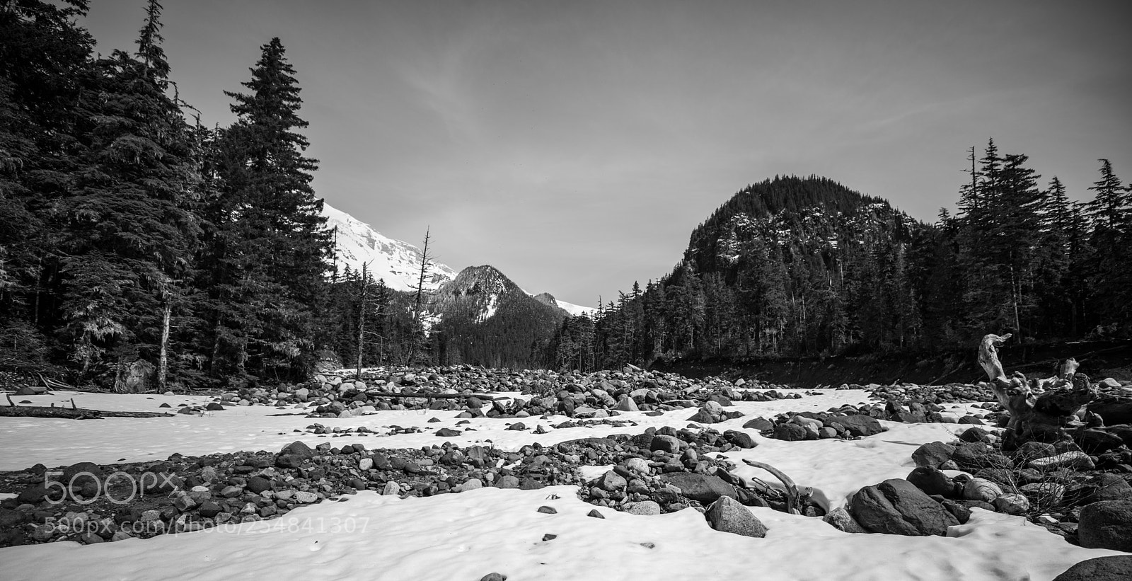 Canon EOS 5D Mark IV sample photo. Mt rainier natl park photography