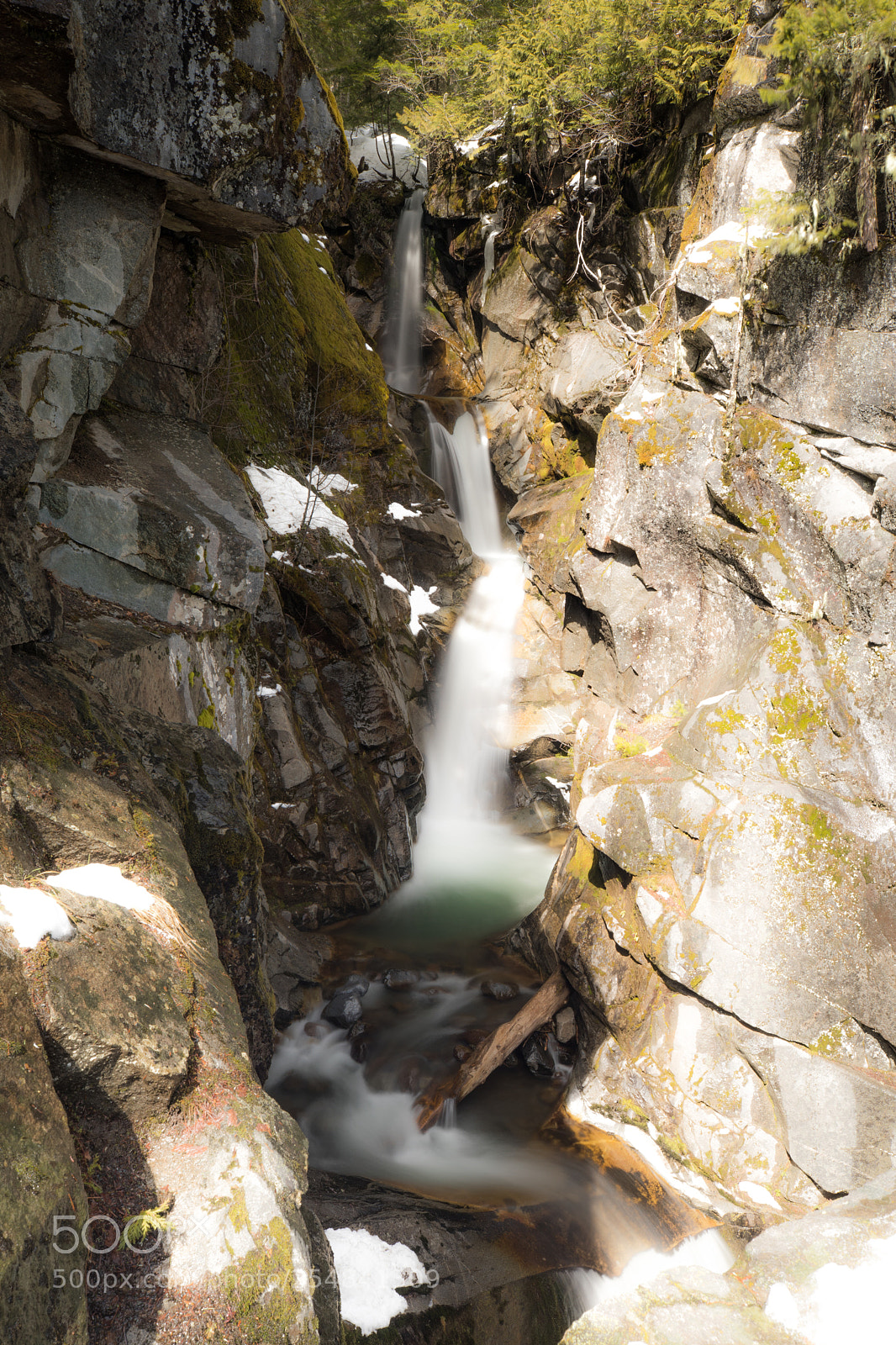 Canon EOS 5D Mark IV sample photo. Mt rainier natl park photography