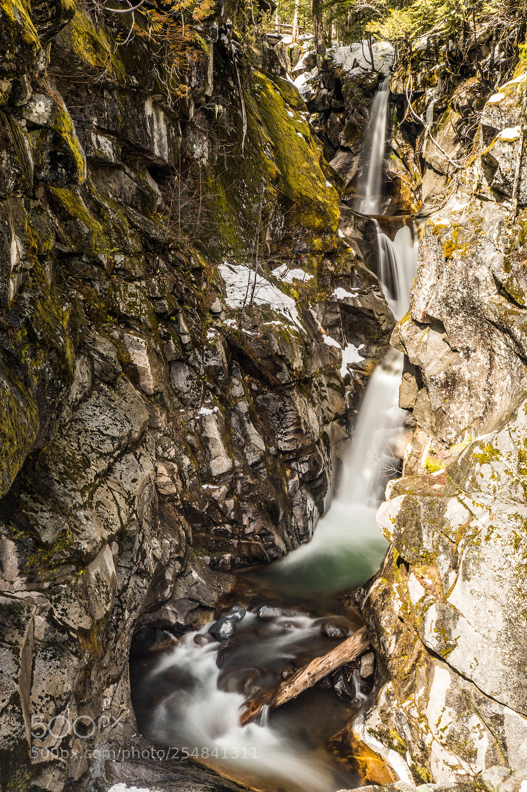 Canon EOS 5D Mark IV sample photo. Mt rainier natl park photography
