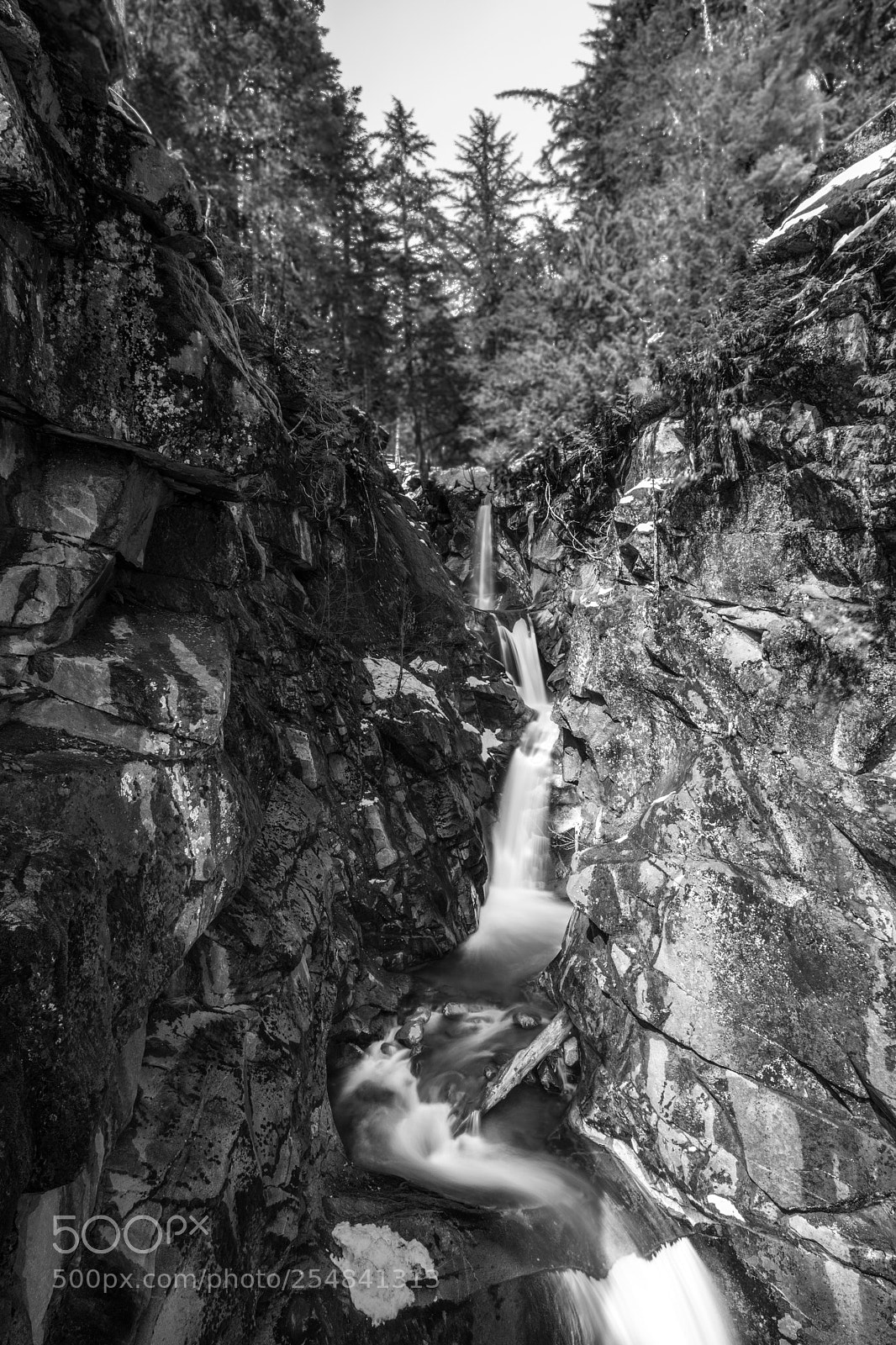 Canon EOS 5D Mark IV sample photo. Mt rainier natl park photography