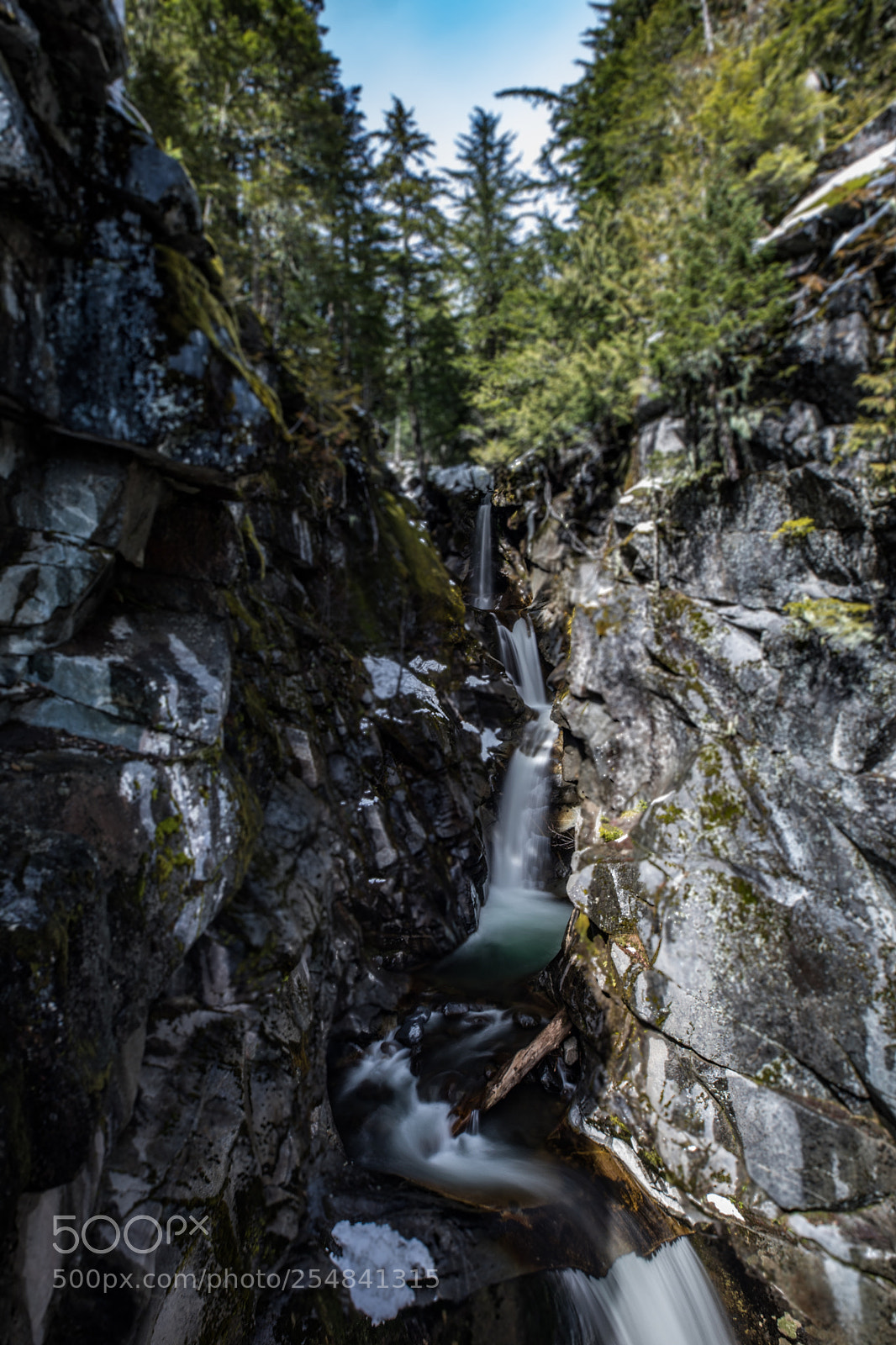Canon EOS 5D Mark IV sample photo. Mt rainier natl park photography