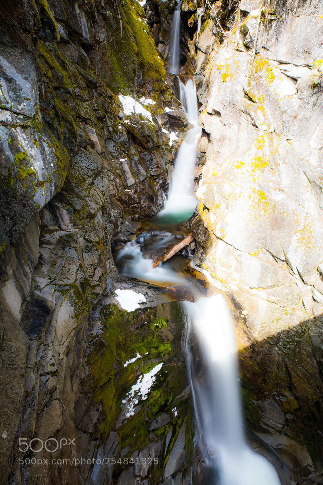 Canon EOS 5D Mark IV sample photo. Mt rainier natl park photography