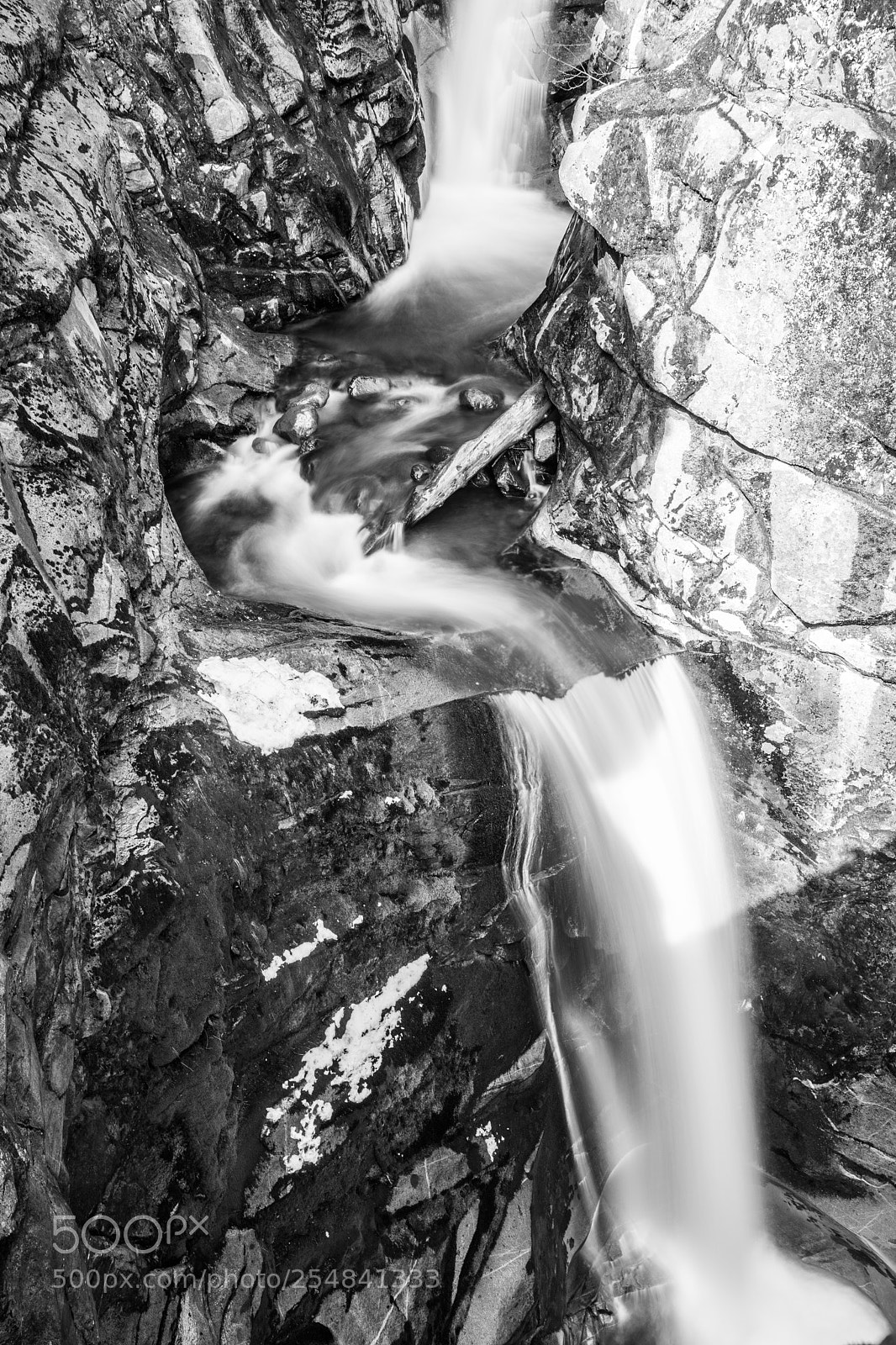 Canon EOS 5D Mark IV sample photo. Mt rainier natl park photography