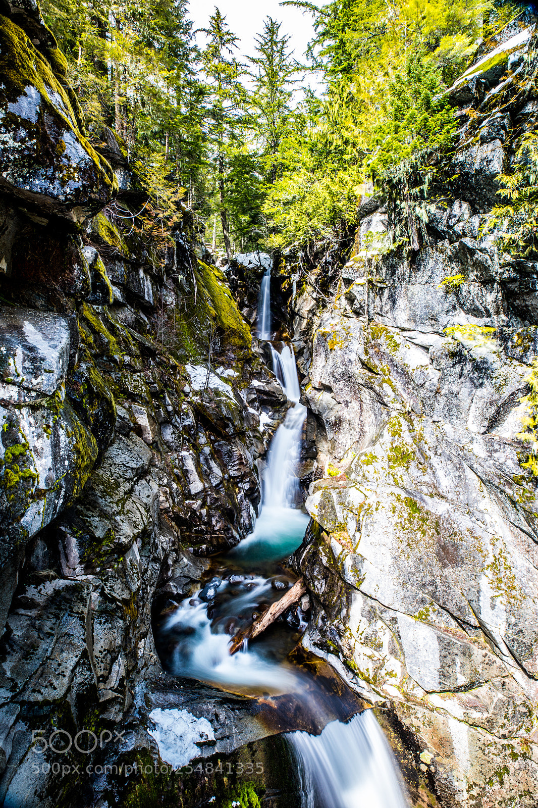 Canon EOS 5D Mark IV sample photo. Mt rainier natl park photography
