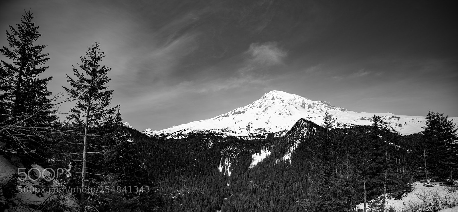 Canon EOS 5D Mark IV sample photo. Mt rainier natl park photography