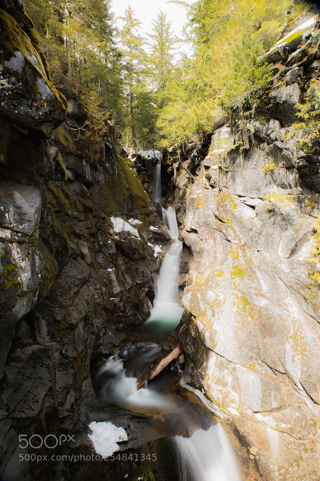 Canon EOS 5D Mark IV sample photo. Mt rainier natl park photography