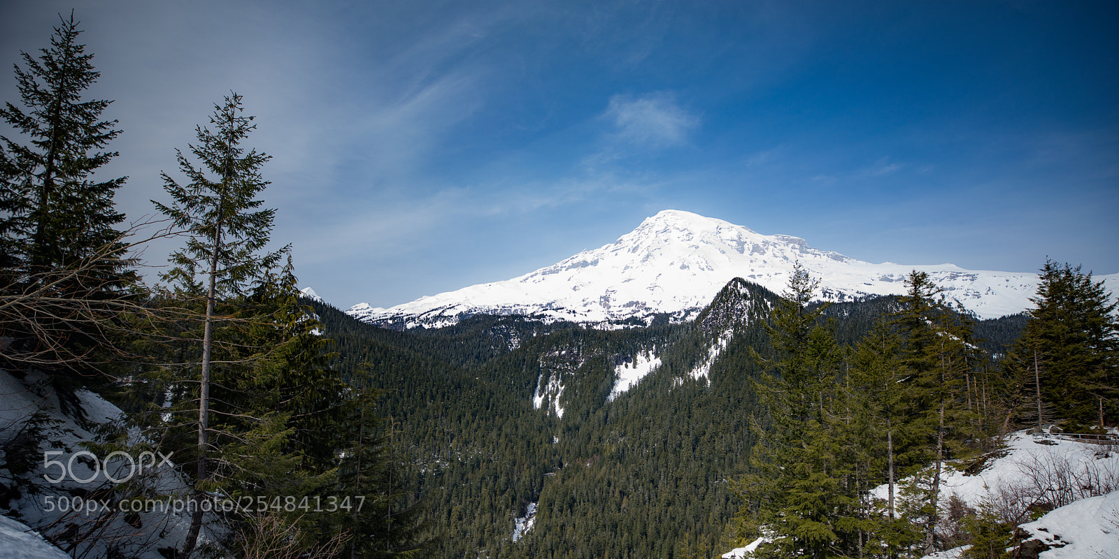 Canon EOS 5D Mark IV sample photo. Mt rainier natl park photography