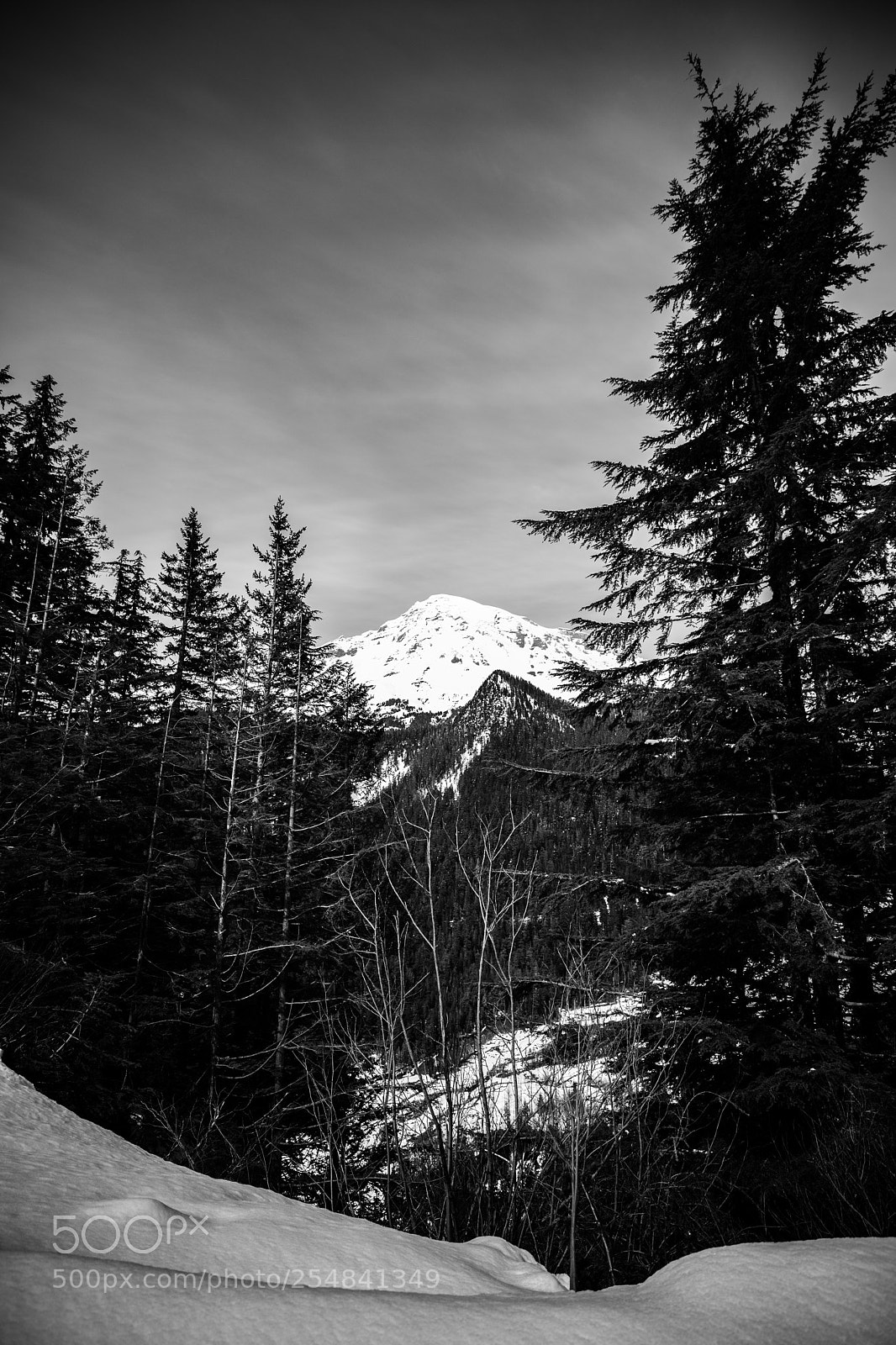 Canon EOS 5D Mark IV sample photo. Mt rainier natl park photography