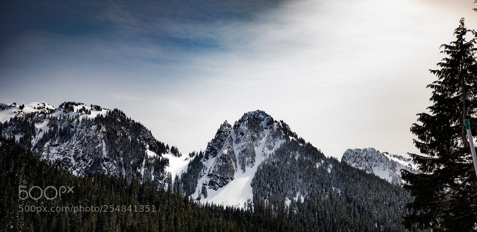 Canon EOS 5D Mark IV sample photo. Mt rainier natl park photography