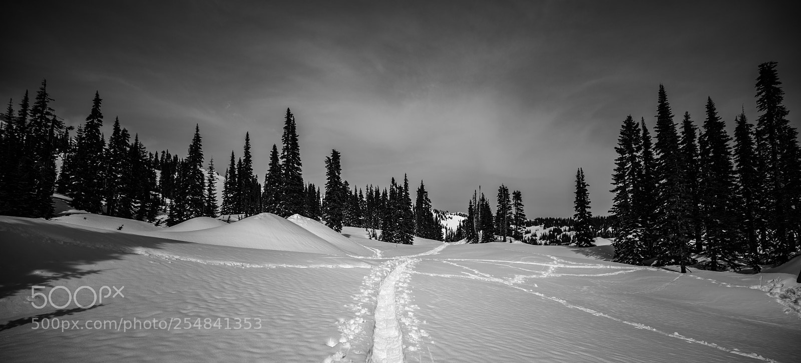 Canon EOS 5D Mark IV sample photo. Mt rainier natl park photography