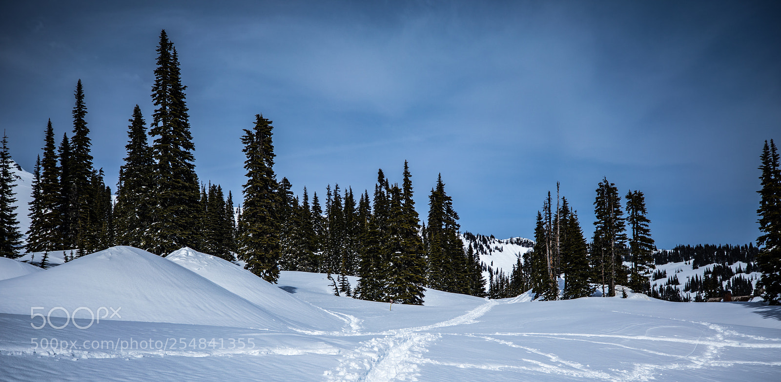 Canon EOS 5D Mark IV sample photo. Mt rainier natl park photography