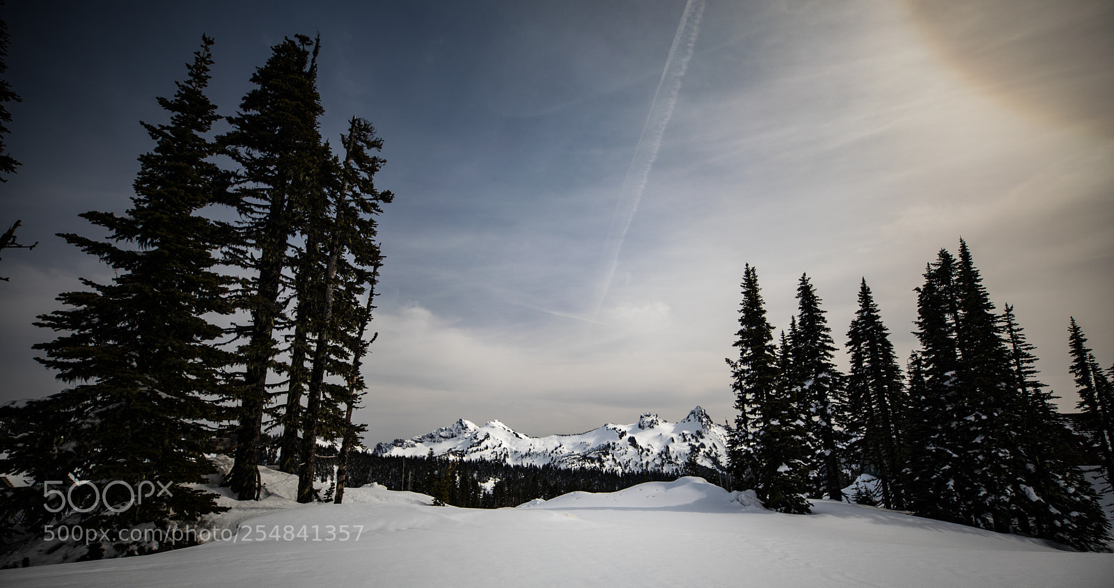 Canon EOS 5D Mark IV sample photo. Mt rainier natl park photography