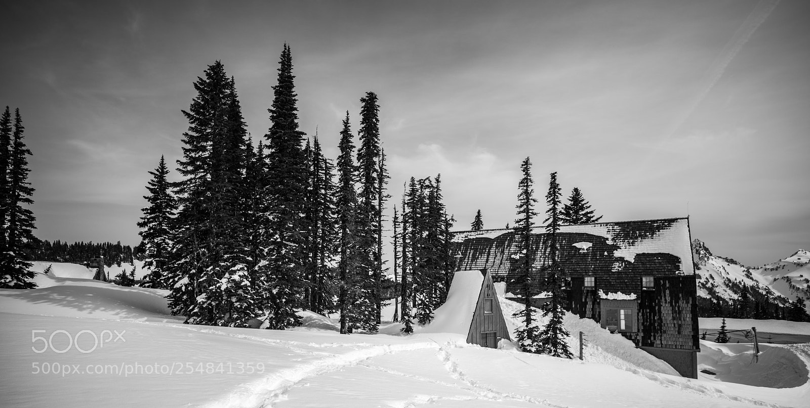 Canon EOS 5D Mark IV sample photo. Mt rainier natl park photography