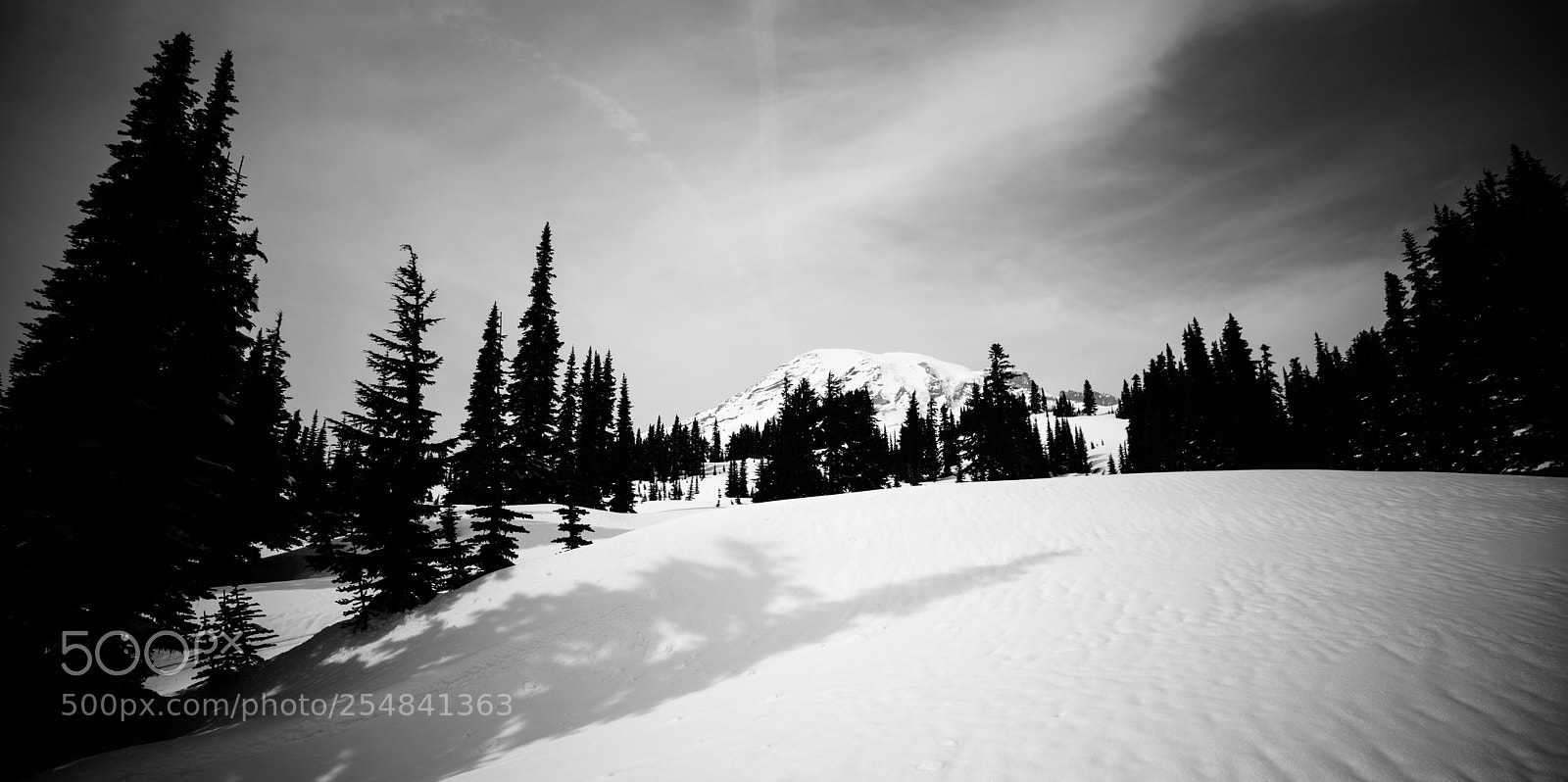 Canon EOS 5D Mark IV sample photo. Mt rainier natl park photography