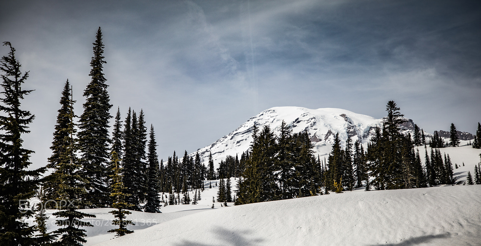 Canon EOS 5D Mark IV sample photo. Mt rainier natl park photography