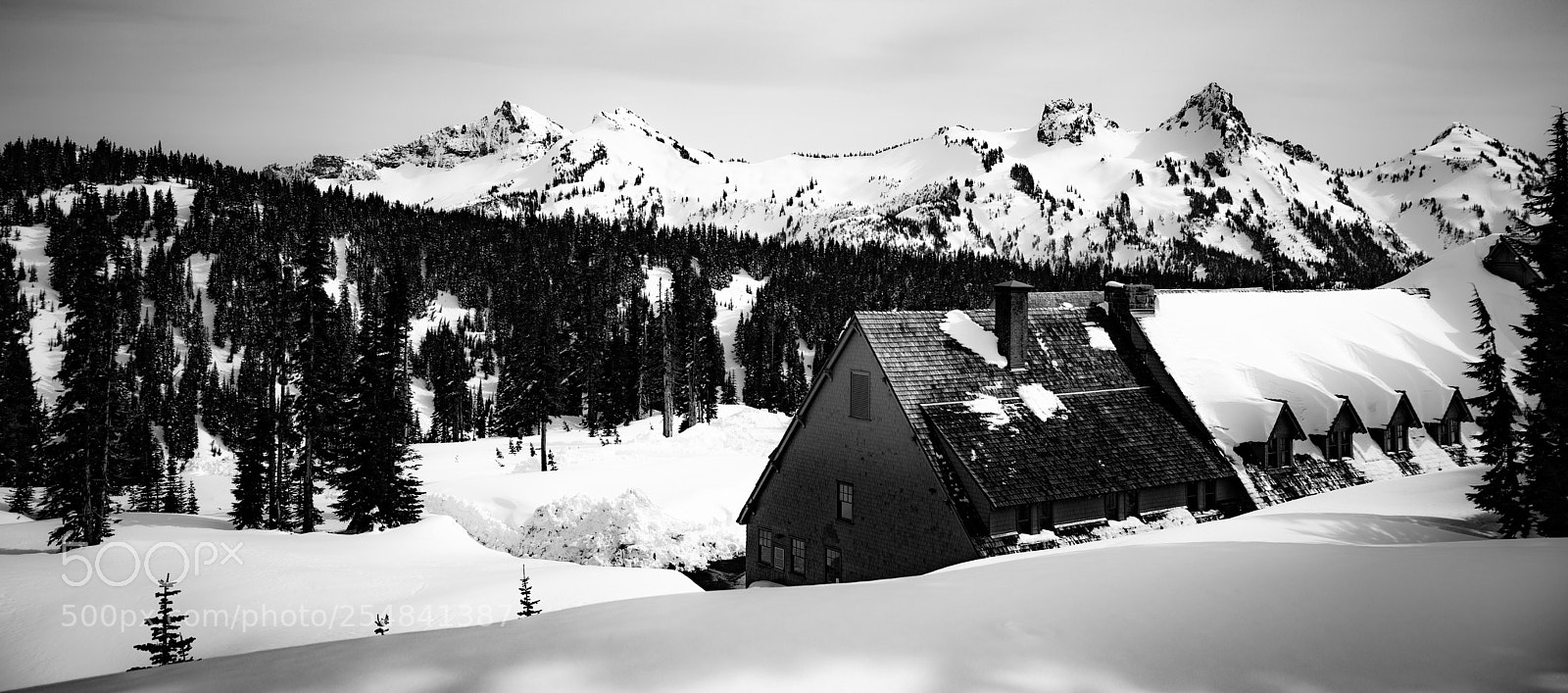 Canon EOS 5D Mark IV sample photo. Mt rainier natl park photography