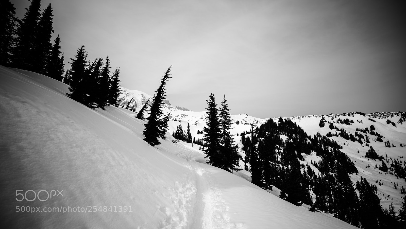 Canon EOS 5D Mark IV sample photo. Mt rainier natl park photography