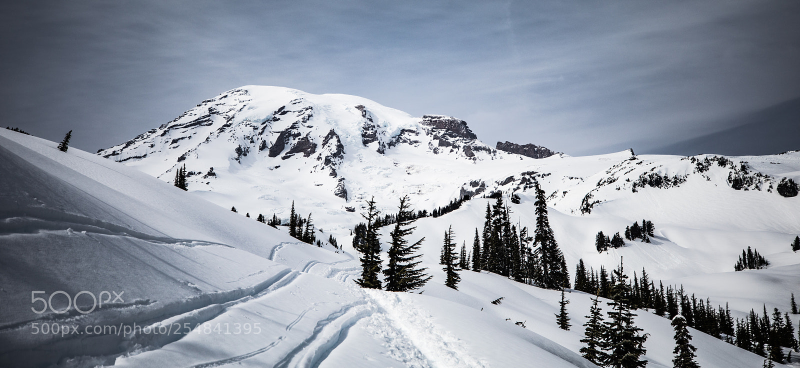 Canon EOS 5D Mark IV sample photo. Mt rainier natl park photography