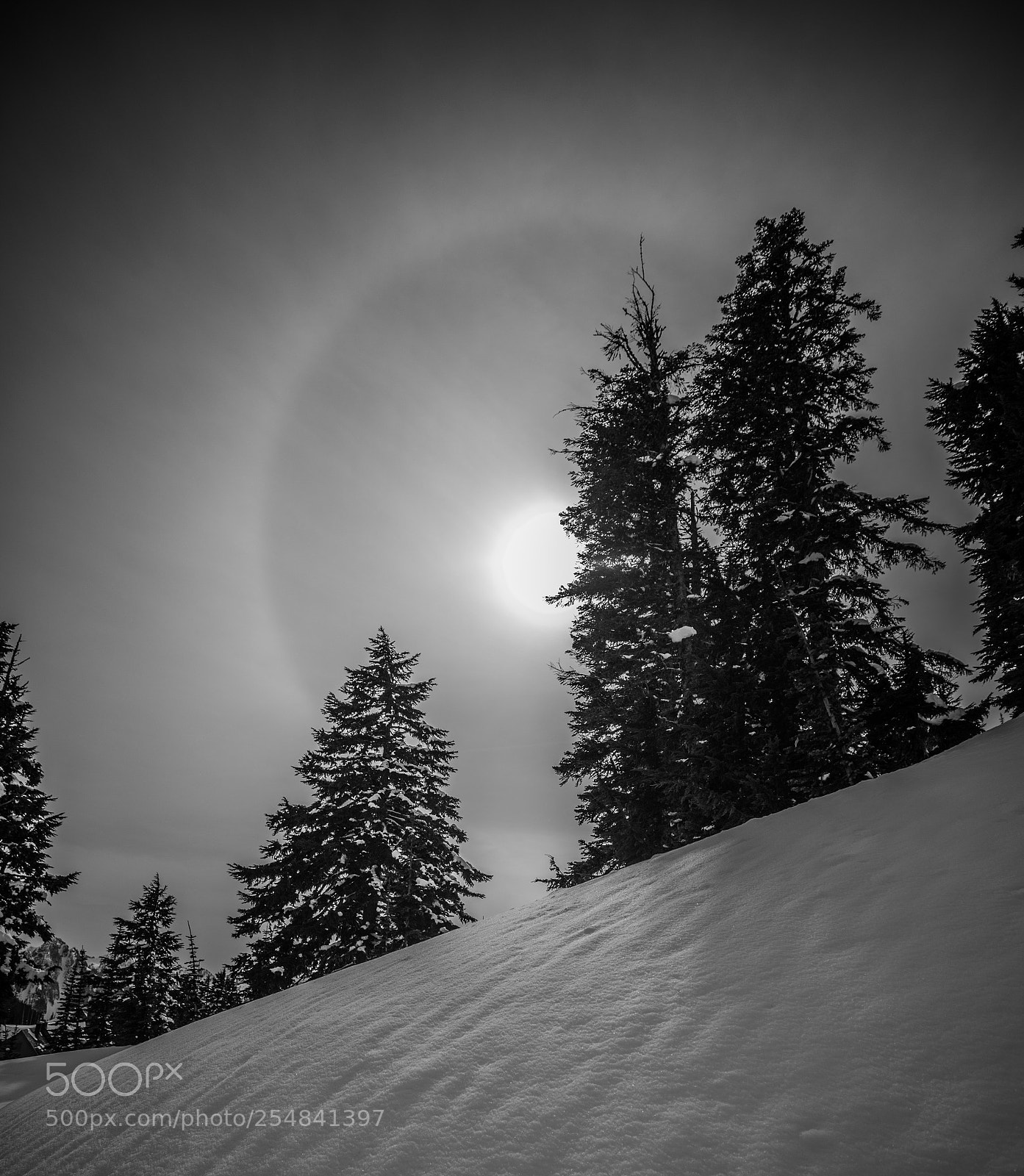 Canon EOS 5D Mark IV sample photo. Mt rainier natl park photography