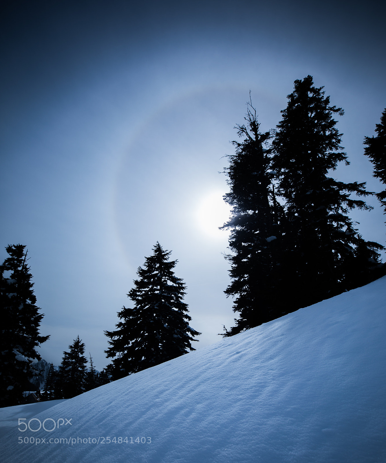 Canon EOS 5D Mark IV sample photo. Mt rainier natl park photography