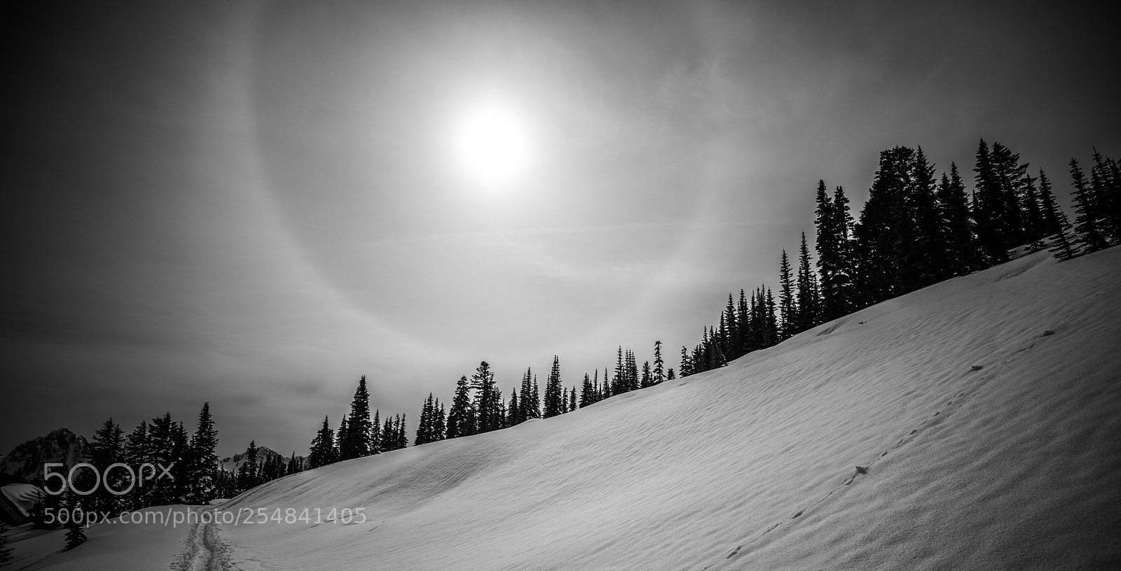 Canon EOS 5D Mark IV sample photo. Mt rainier natl park photography
