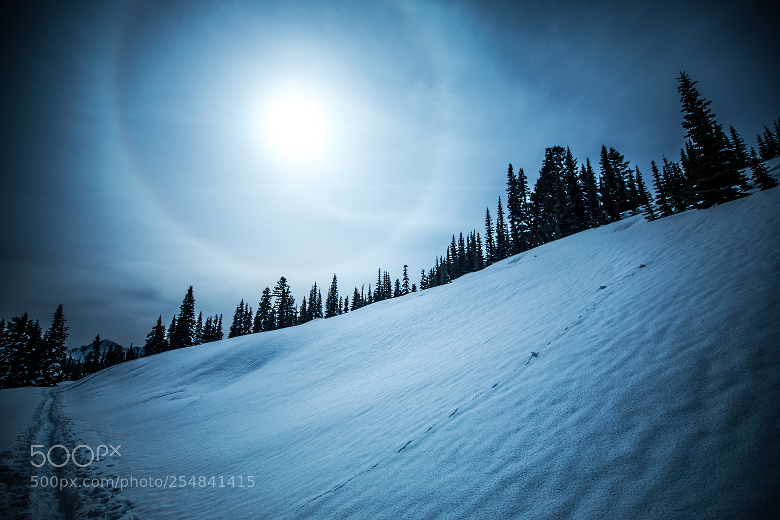 Canon EOS 5D Mark IV sample photo. Mt rainier natl park photography