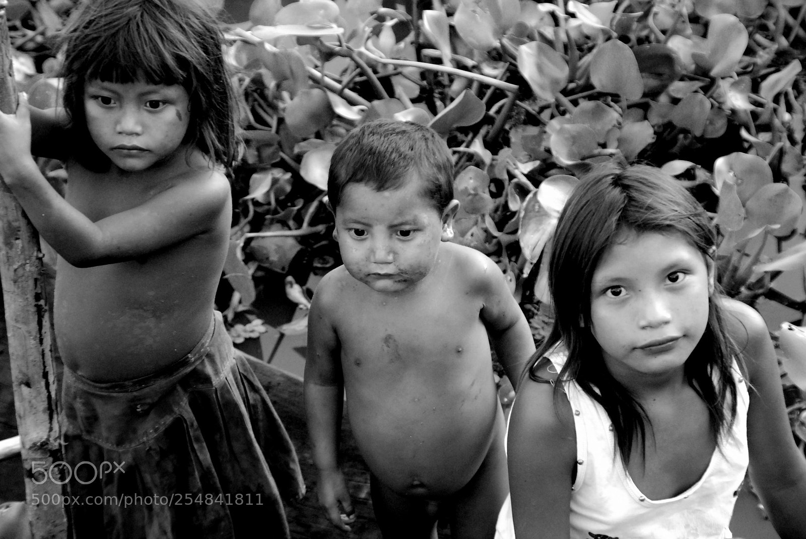 Nikon D60 sample photo. Untitled photography