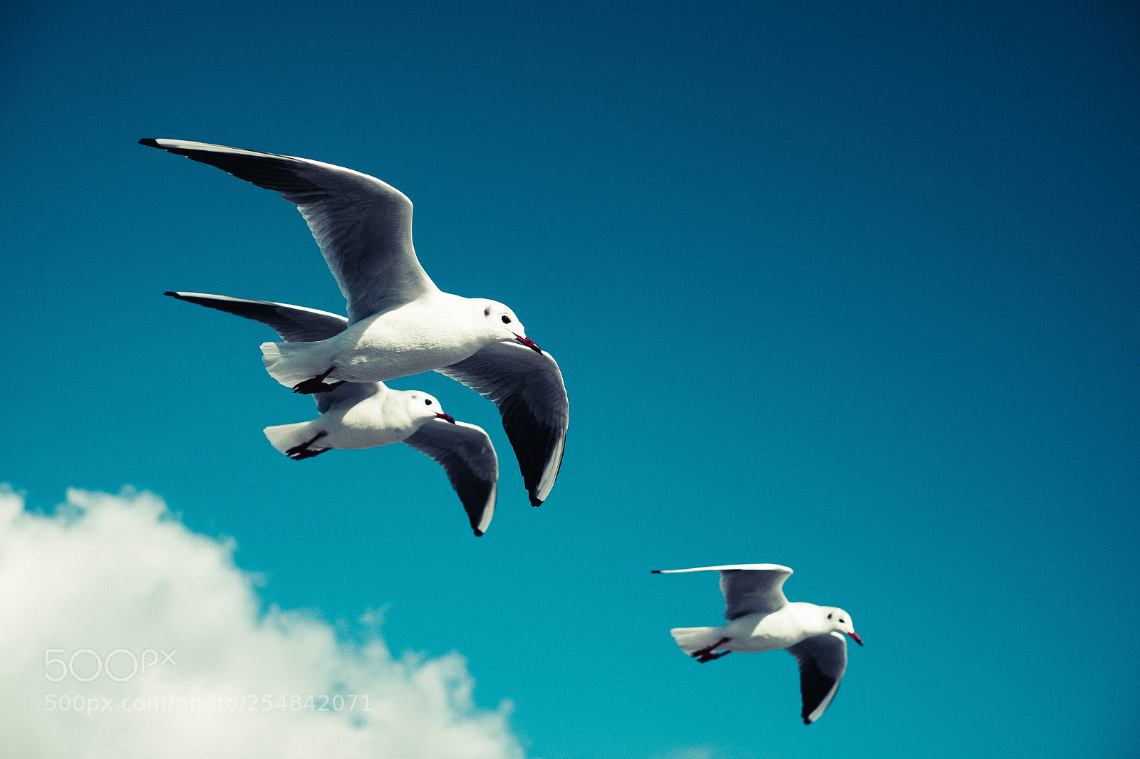Fujifilm X-T1 sample photo. Untitled photography
