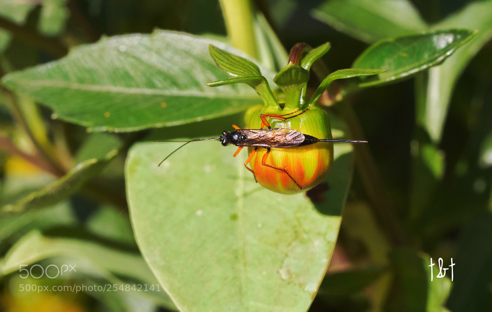 Canon EOS 7D sample photo. Untitled photography