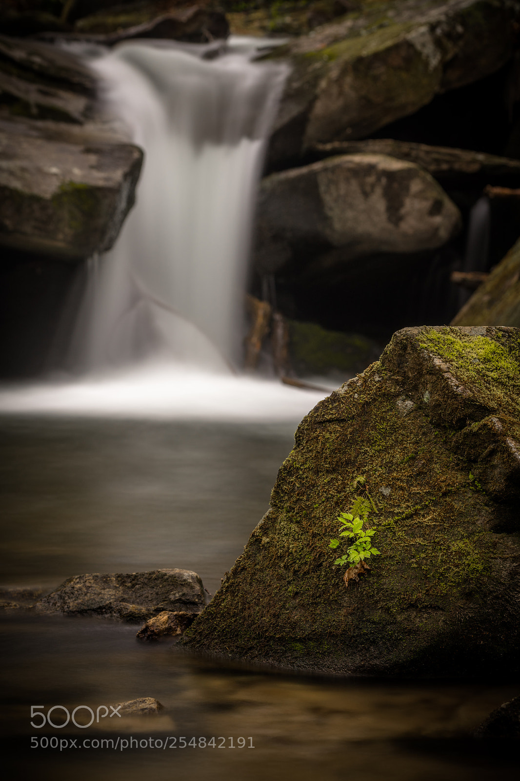 Sony a7 II sample photo. Rock growth photography