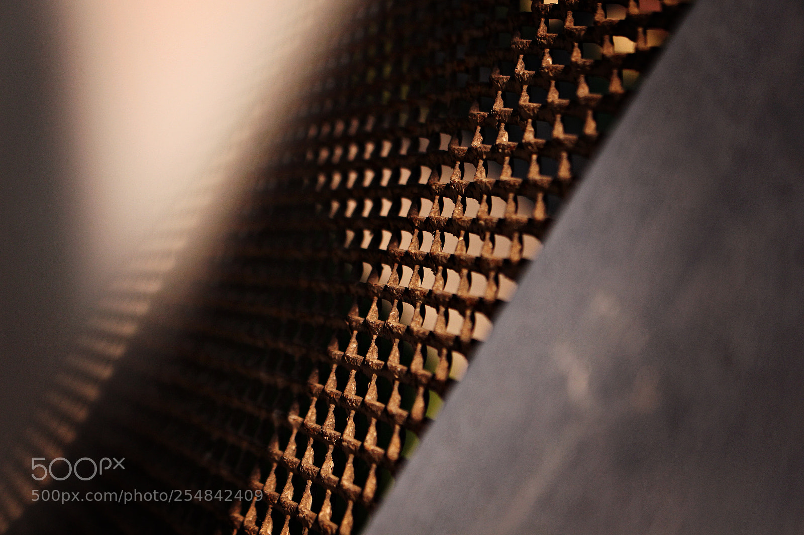 Canon EOS 700D (EOS Rebel T5i / EOS Kiss X7i) sample photo. Shock of daylight photography