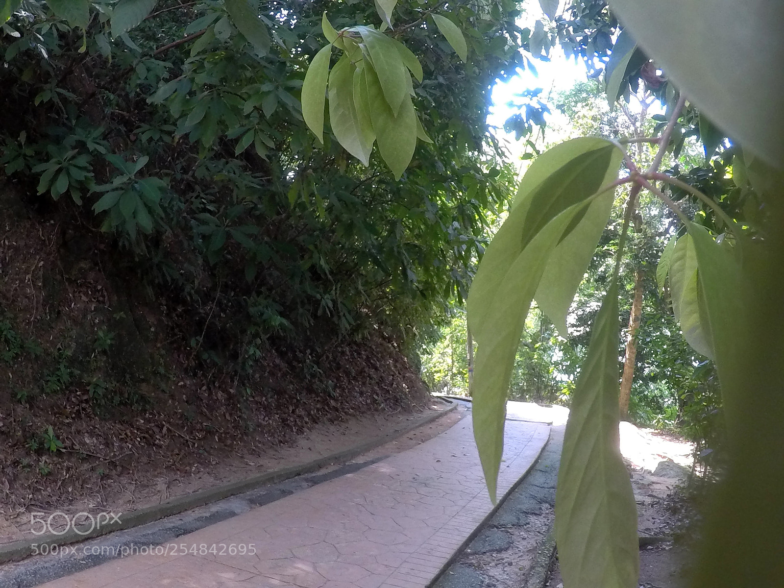 GoPro Hero5 Black sample photo. Life beyond the hands photography