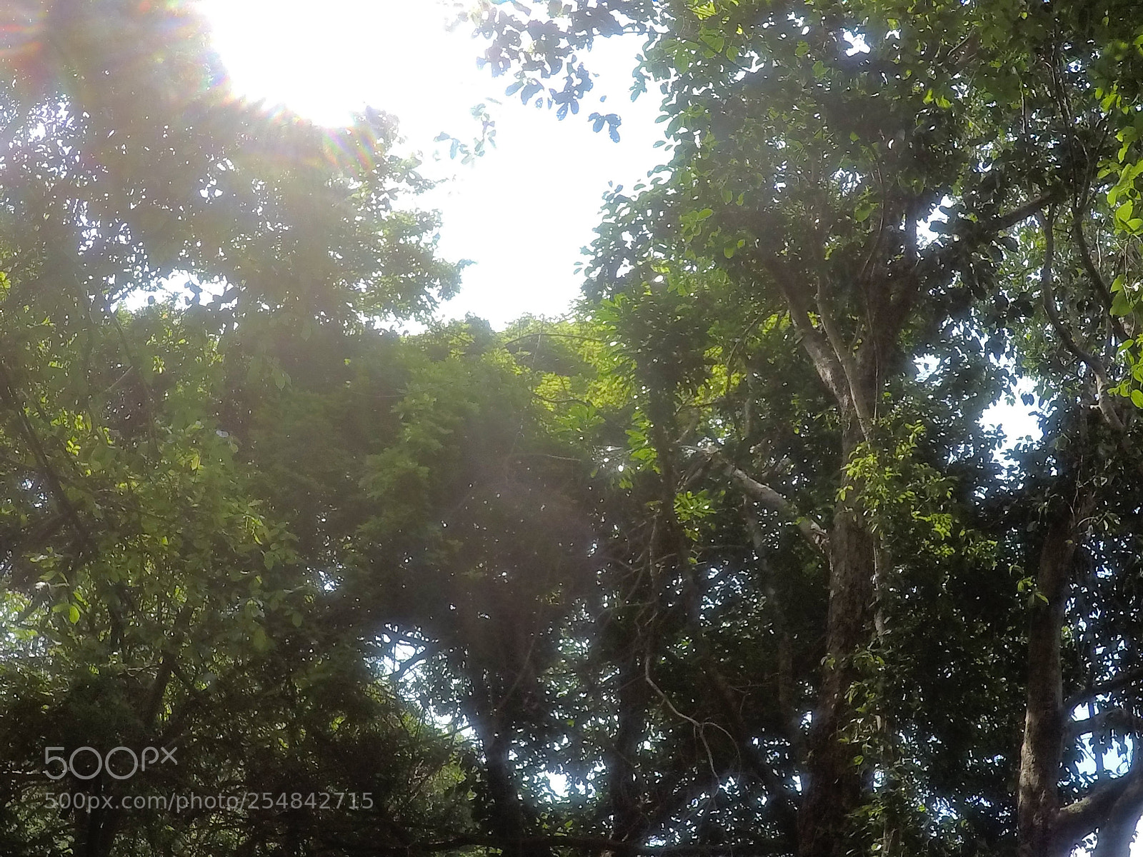 GoPro Hero5 Black sample photo. Life beyond the hands photography