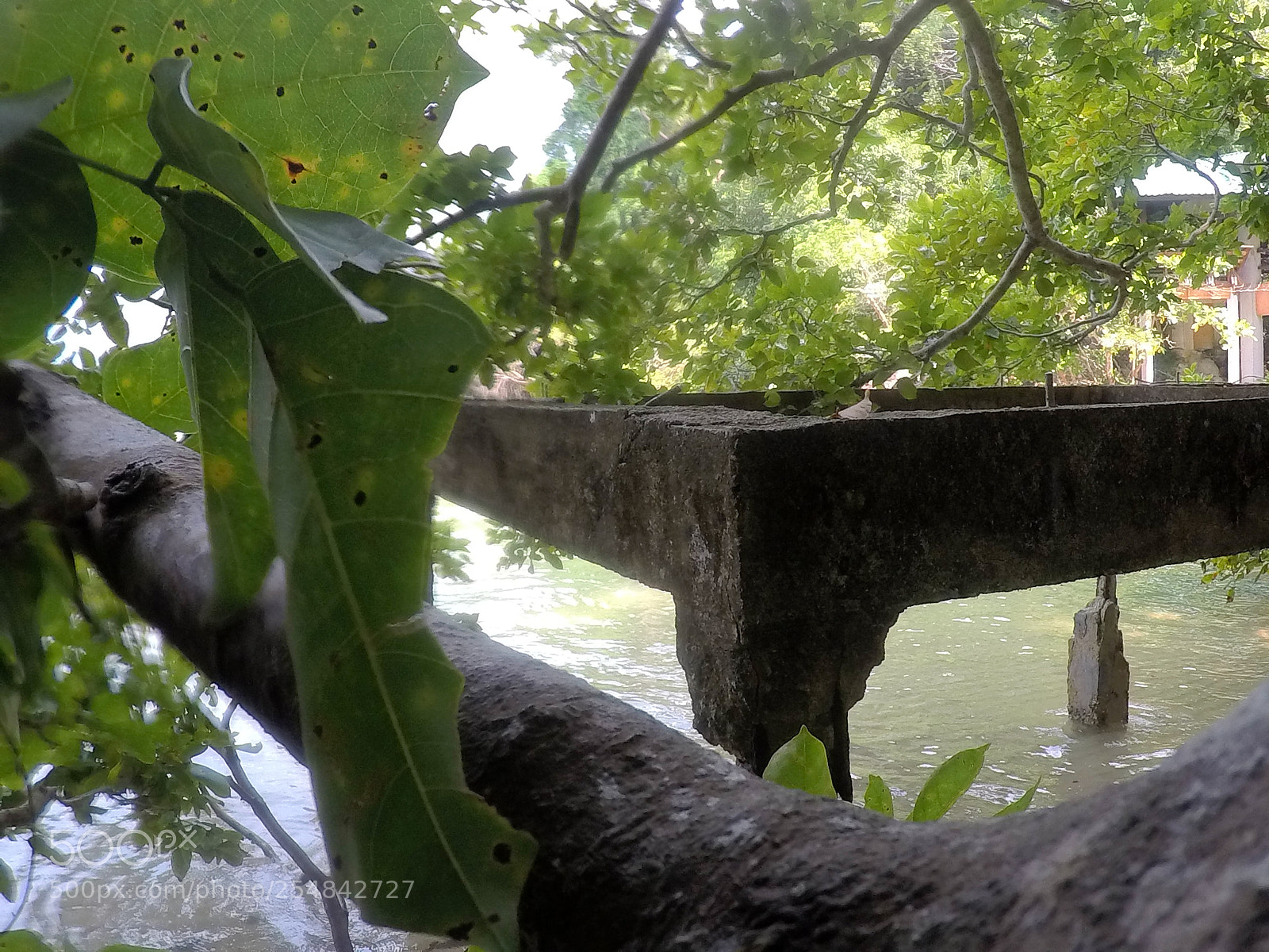 GoPro Hero5 Black sample photo. Life beyond the hands photography