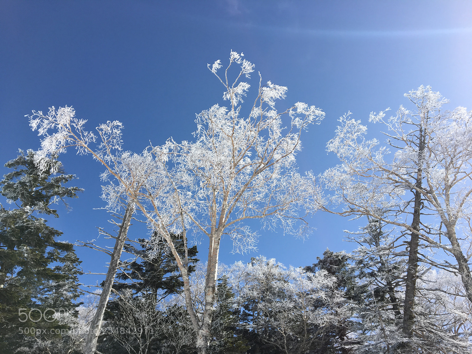 Apple iPhone 6s sample photo. Winter mountain photography
