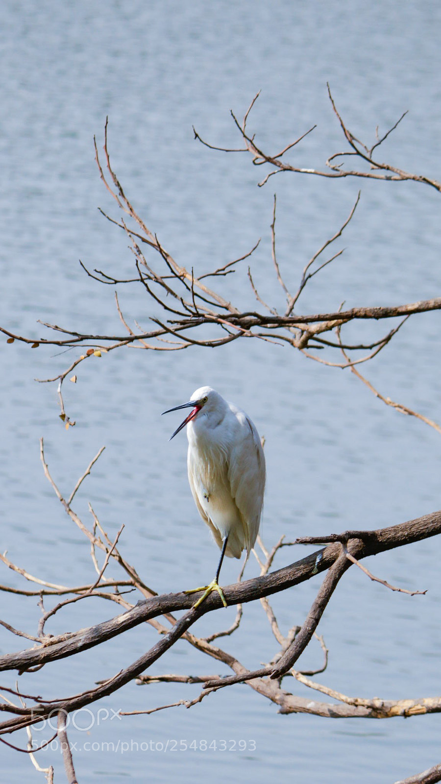 Canon EOS 700D (EOS Rebel T5i / EOS Kiss X7i) sample photo. On single leg 2 photography