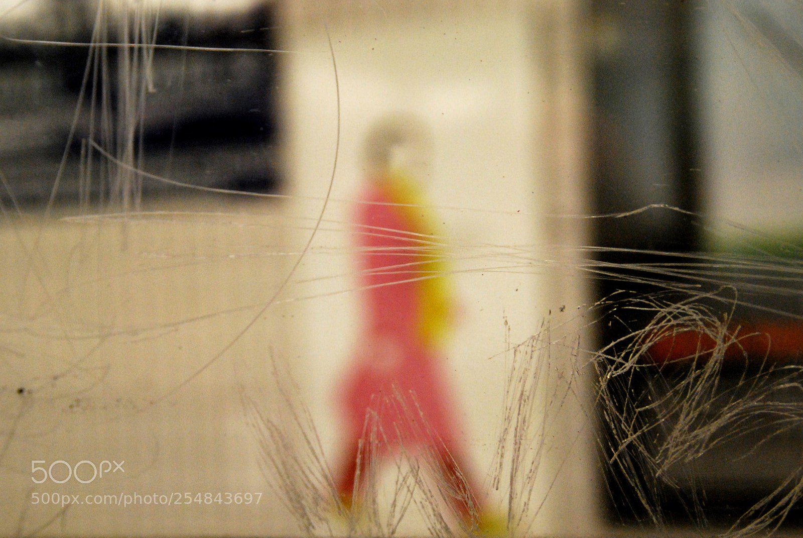 Nikon D60 sample photo. Untitled photography