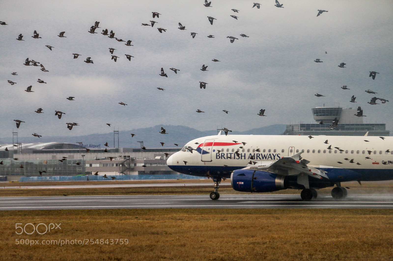 Canon EOS 70D sample photo. Flights photography