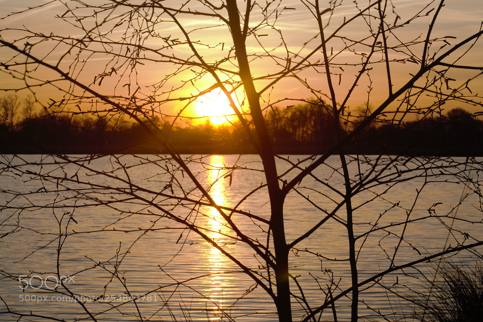 Nikon D3100 sample photo. Peel photography
