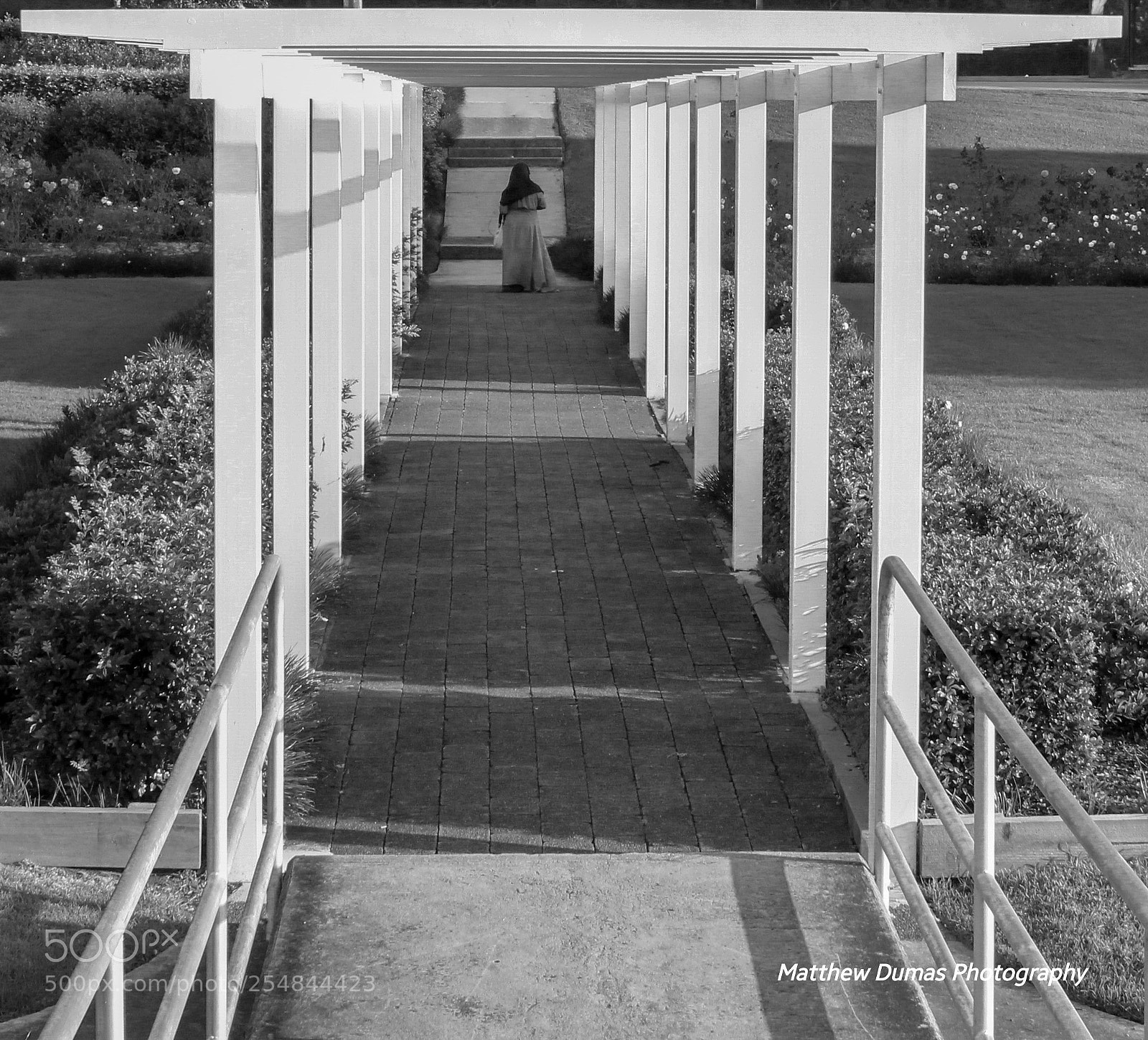 Canon EOS 1300D (EOS Rebel T6 / EOS Kiss X80) sample photo. Untitled photography