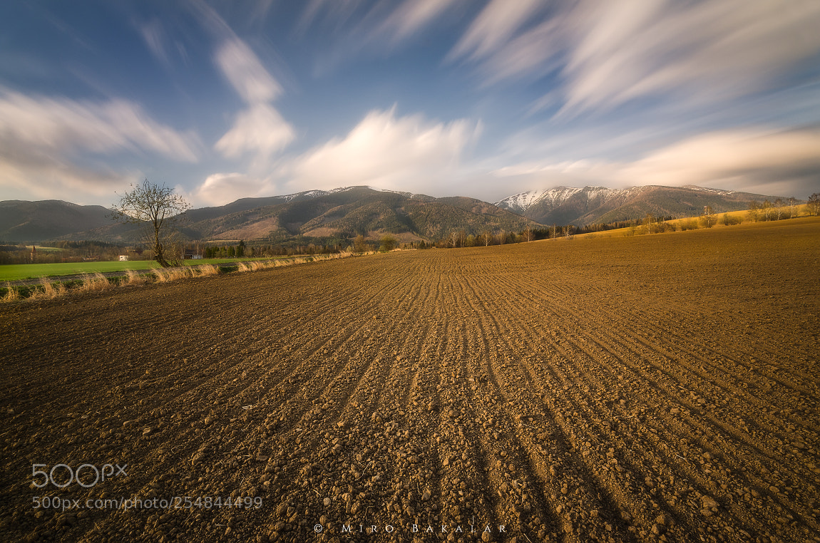 Nikon D7000 sample photo. (spring fields) photography