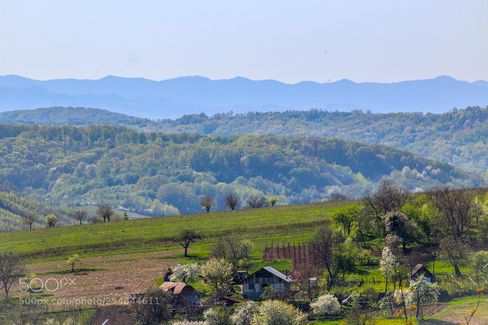 Canon EOS 70D sample photo. Untitled photography