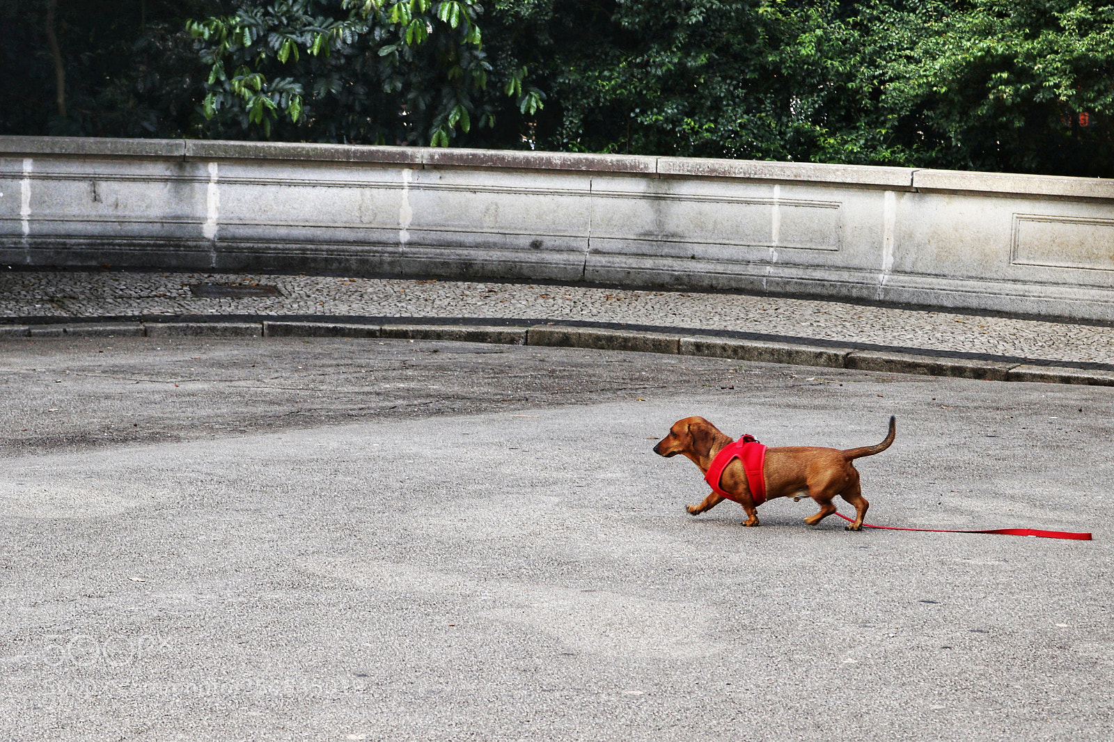 Canon EOS 750D (EOS Rebel T6i / EOS Kiss X8i) sample photo. Alone photography
