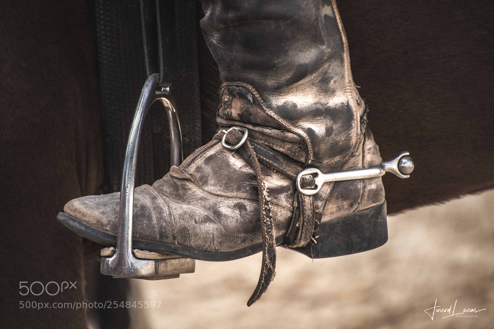 Canon EOS 7D Mark II sample photo. Nullarbor muster photography