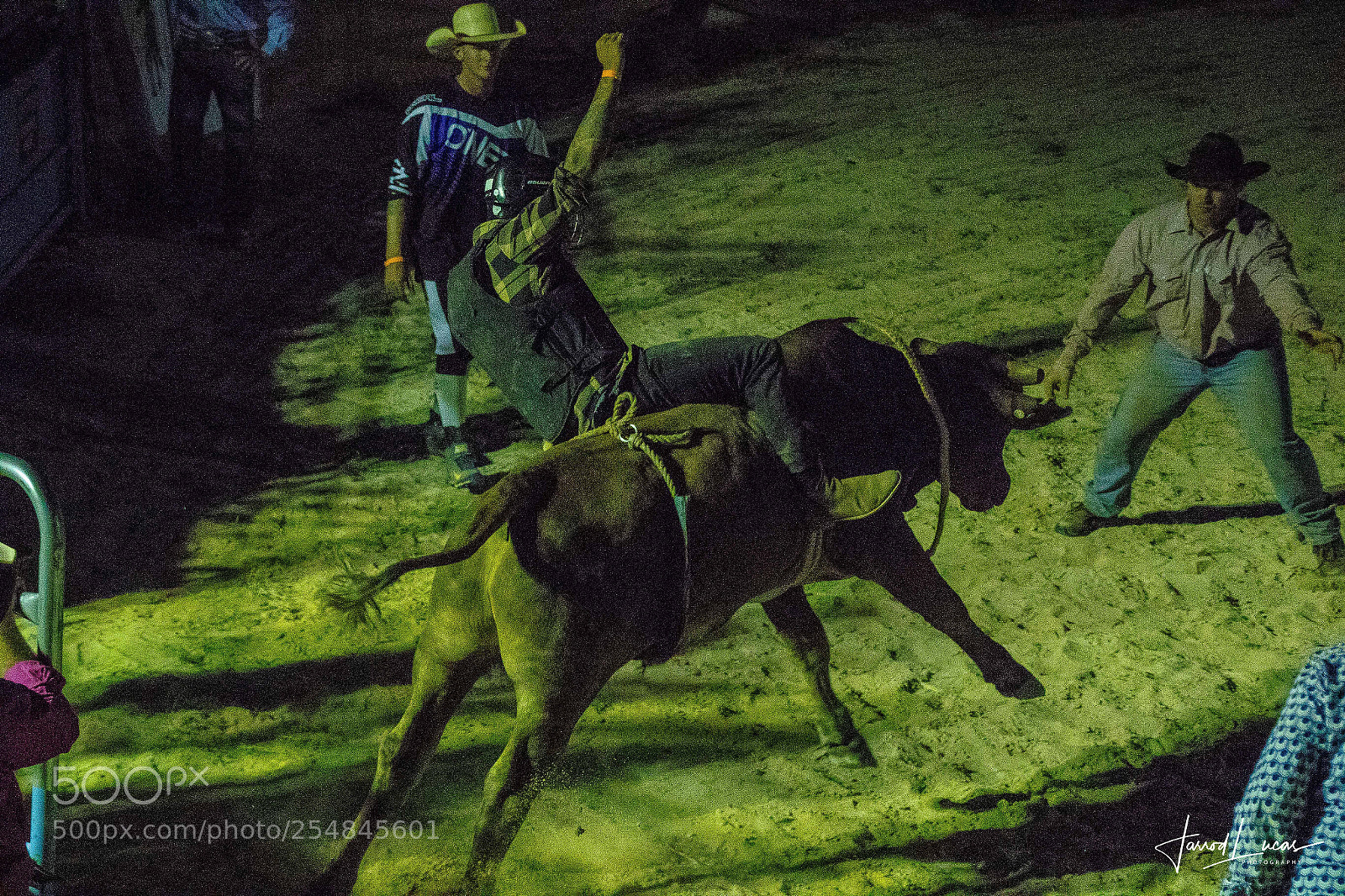 Canon EOS 7D Mark II sample photo. Nullarbor muster photography