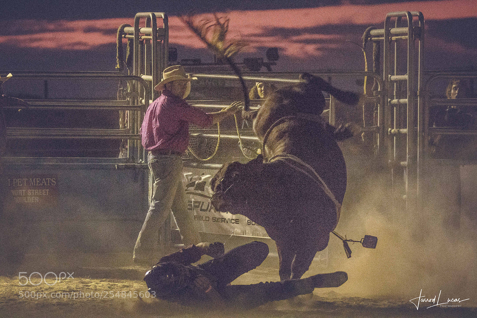 Canon EOS 7D Mark II sample photo. Nullarbor muster photography