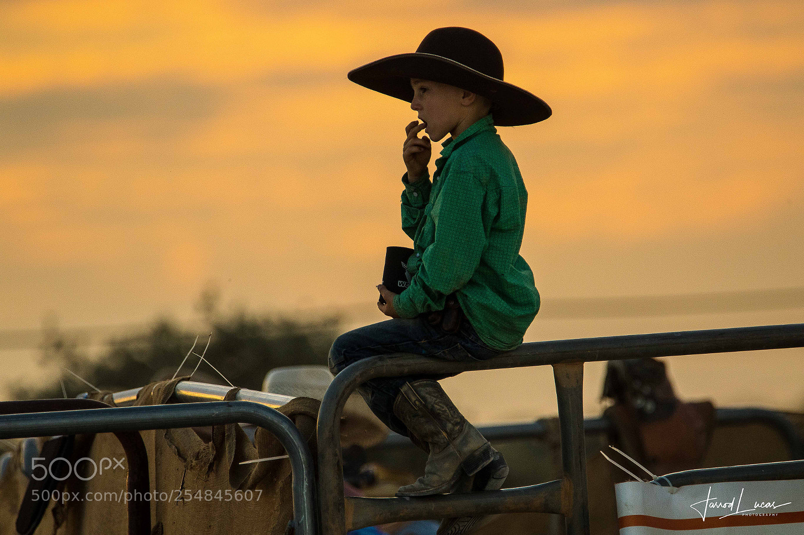 Canon EOS 7D Mark II sample photo. Nullarbor muster photography
