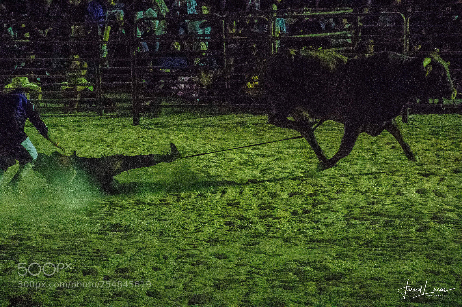 Canon EOS 7D Mark II sample photo. Nullarbor muster photography