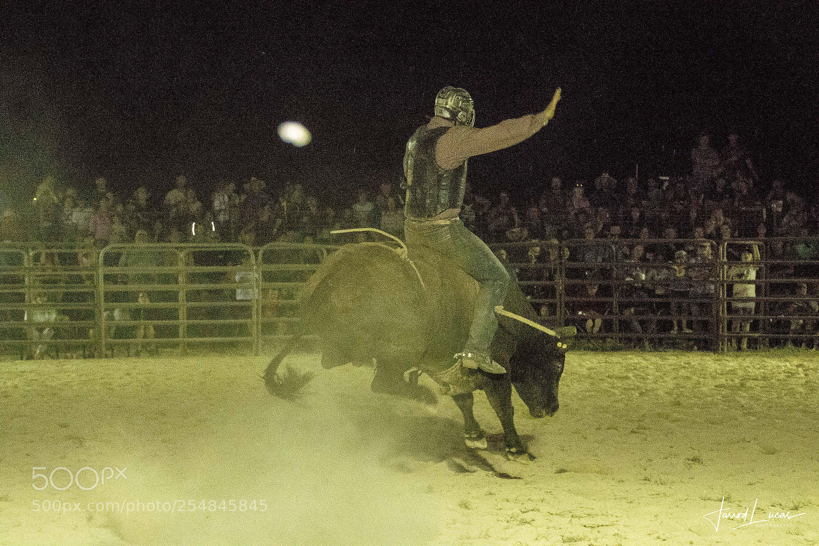 Canon EOS 7D Mark II sample photo. Nullarbor muster photography