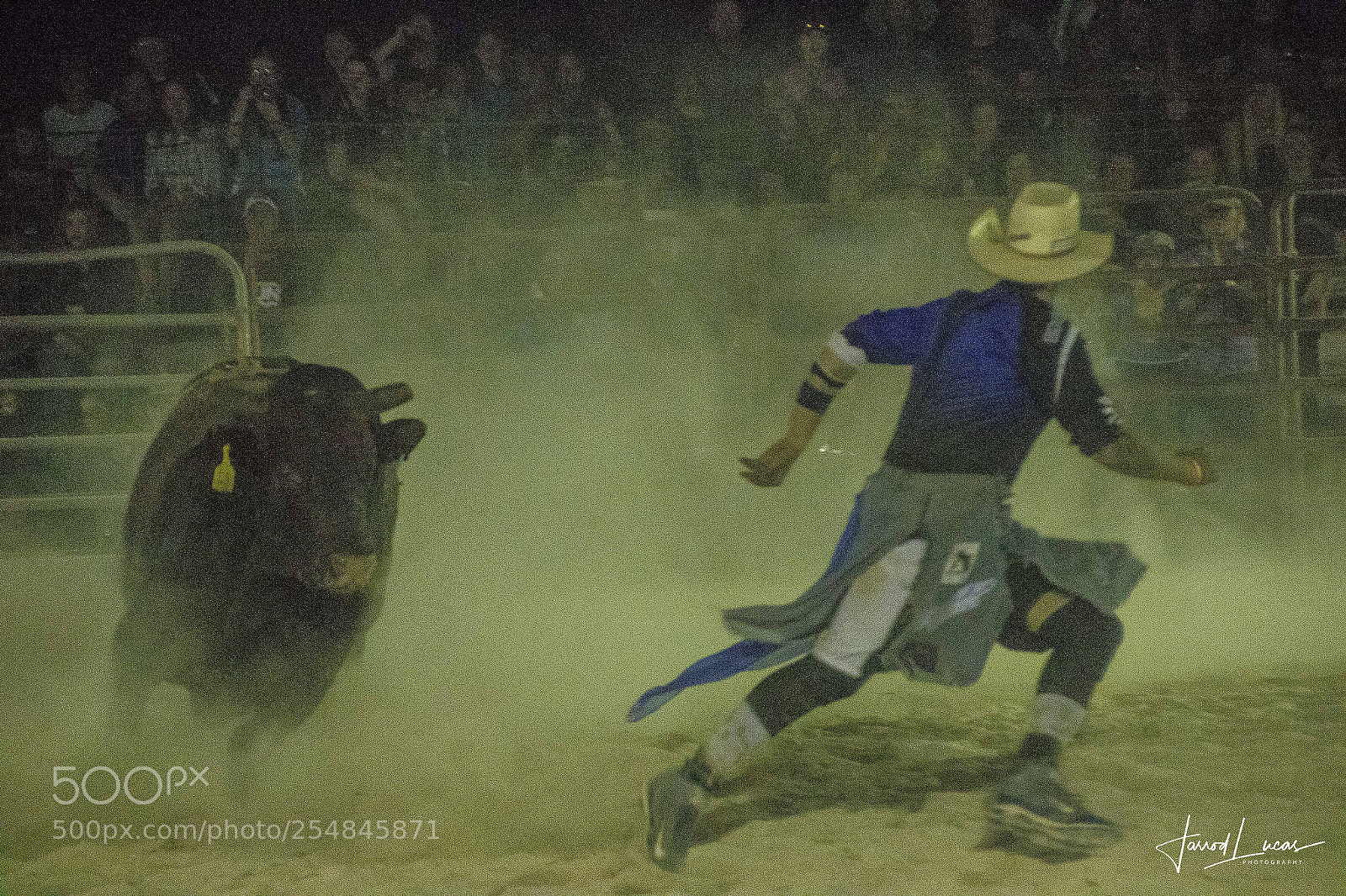 Canon EOS 7D Mark II sample photo. Nullarbor muster photography